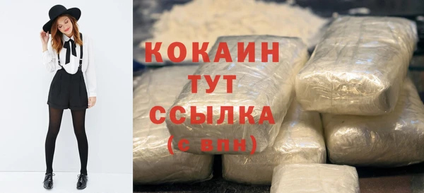 гидра Михайловск
