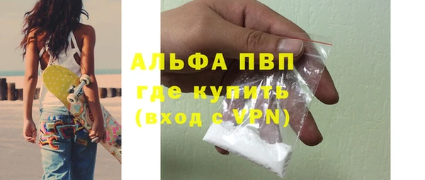 гидра Михайловск