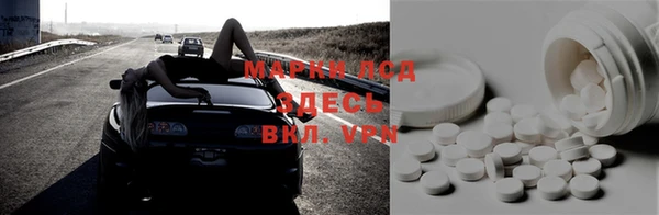 гидра Михайловск