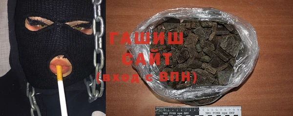 шишки Надым